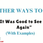 Other Ways to Say “It Was Good to See You Again”
